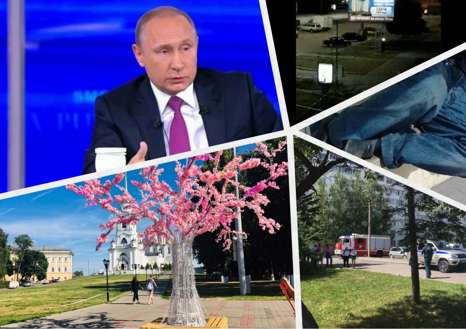 Владимир за день: сакура, эвакуация Сбербанка и забавные сообщения Путину