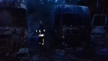 Два грузовых автомобиля сгорели дотла под Муромом