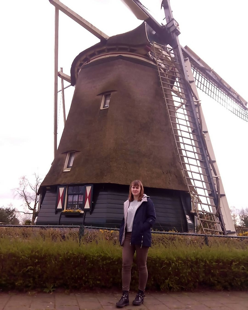 «Нидерланды — страна «тысячи мельниц»