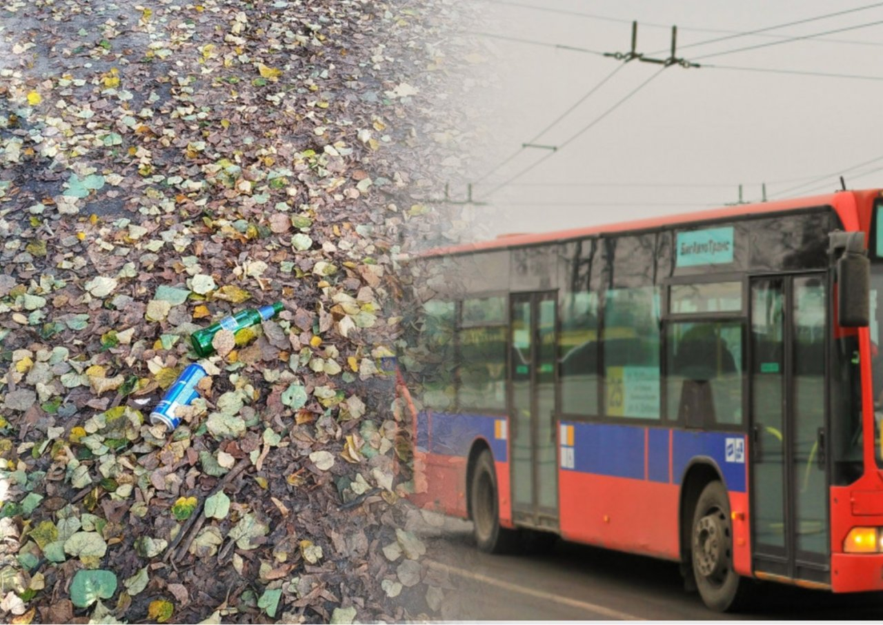Общественный транспорт и парк, заваленный мусором: топ-5 жалоб владимирцев за неделю