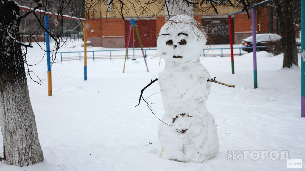 В выходные во Владимире выпадет снежок