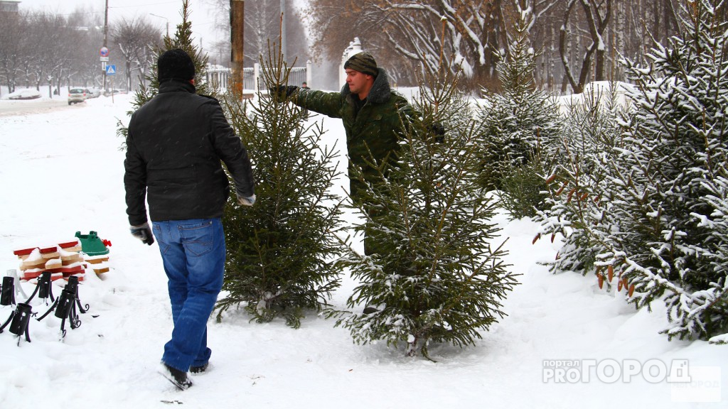 Владимирцам советуют не спешить с украшением новогодней елки