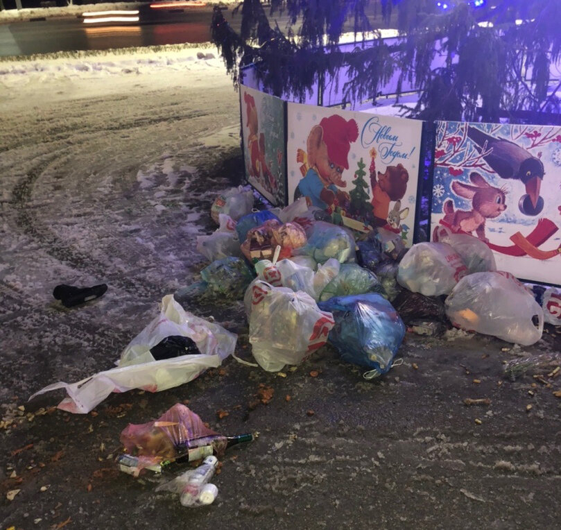 Владимирец оставил мешки с мусором под ёлкой у Белого дома