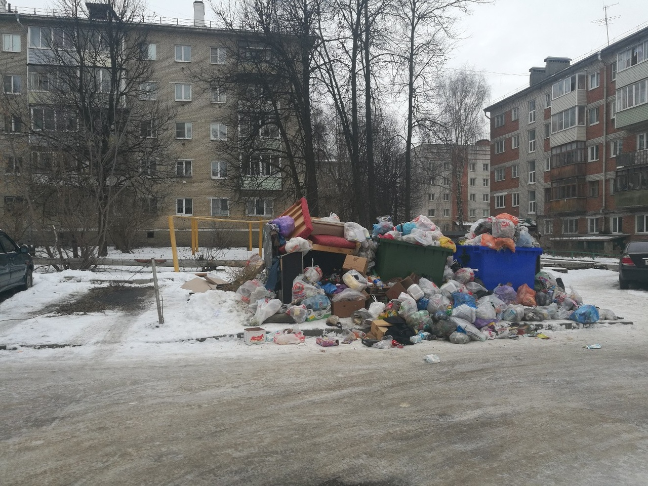 Владимирцы по-прежнему недовольны мусорной ситуацией в городе