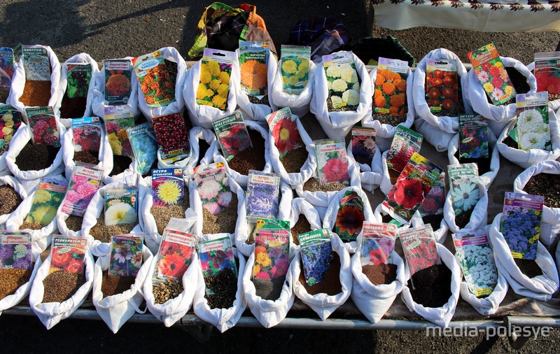 На рынках во Владимире нашли запрещенные семена