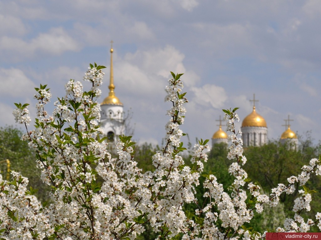 Во Владимир вот-вот придёт настоящая весна