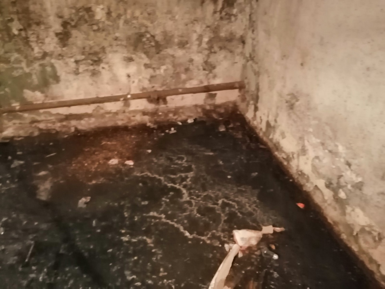Во Владимире подвал жилого дома затопило фекалиями