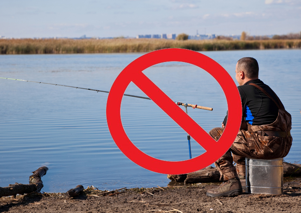 Во Владимирской области запретили рыбачить