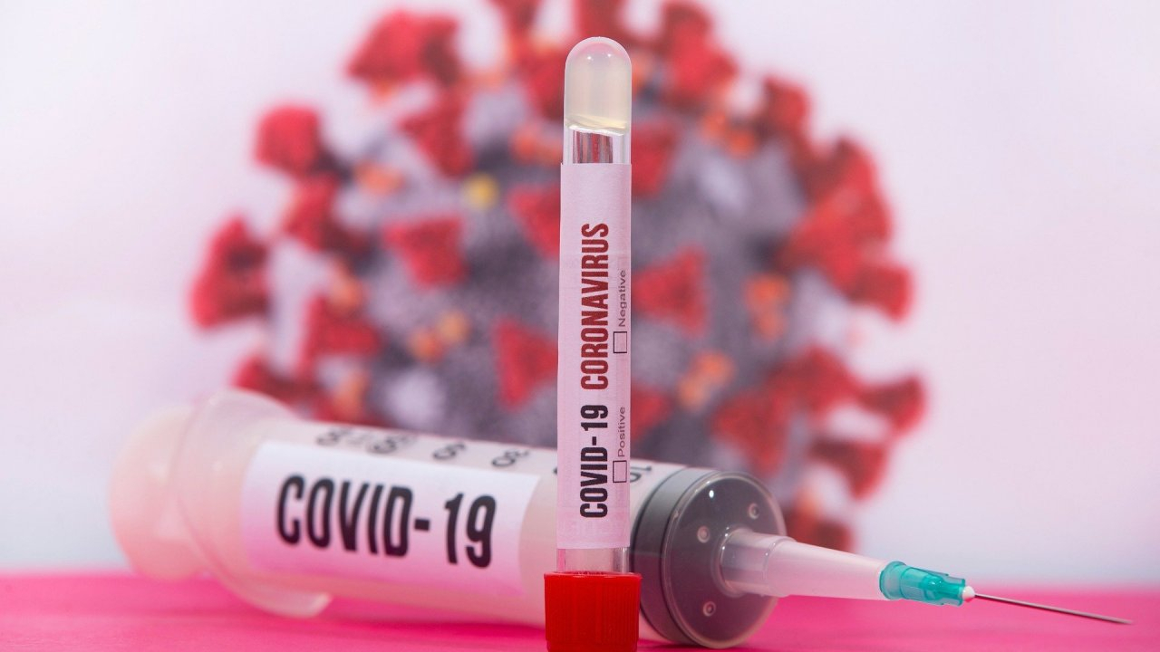 Во Владимирской области выявили еще 24 случая коронавируса