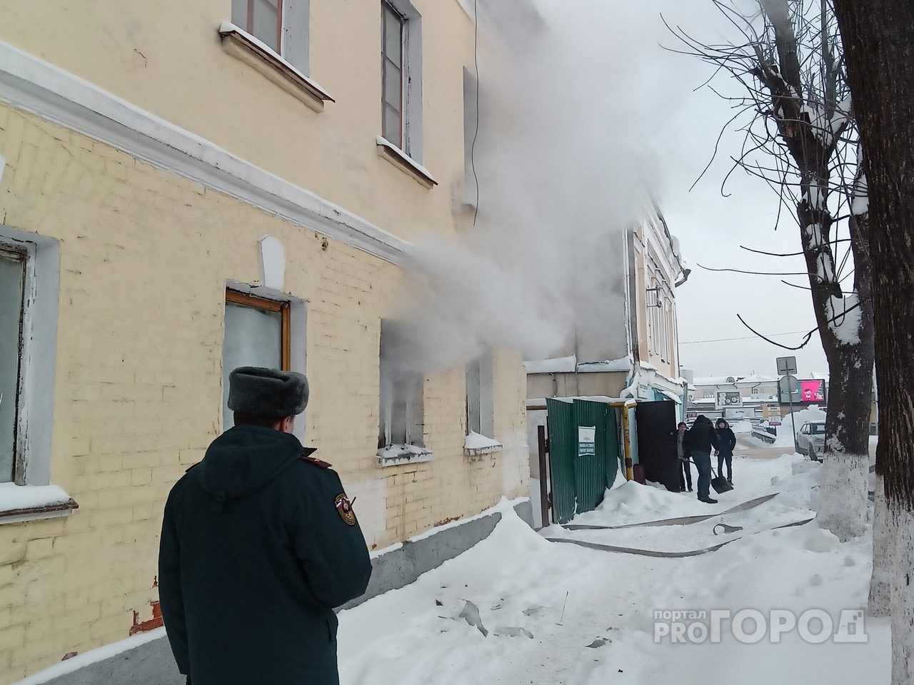 В центре Владимира из горящего дома спасли трёх кошек