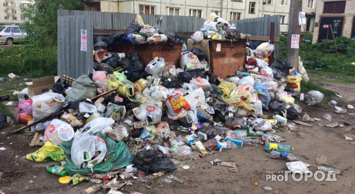 Во Владимирской области меньше половины всех мусорных площадок признали чистыми