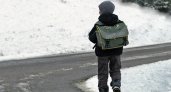 "Шёл по морозу в слезах": во Владимире 10-летнего школьника высадили из автобуса