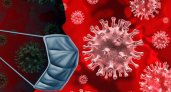 За сутки во Владимирской области заболели коронавирусом 2247 человек