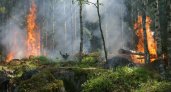 Во Владимирской области с 18 апреля на полгода установят пожароопасный сезон 