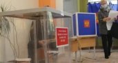 Во Владимирской области определились с 4 кандидатами на выборы губернатора