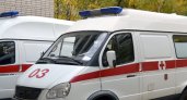 Владимирская область в этом году получит новые "кареты скорой помощи" и школьные автобусы