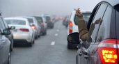 Автомобилистов Владимирской области предупредили о штрафе в 30 тысяч за выброс окурков