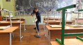 Во владимирских школах собираются ввести трудовое воспитание