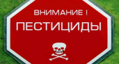 Серийные похитители ядохимикатов из Владимирской области отправятся в колонию