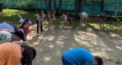 В летнем лагере в Ивановской области отравились владимирские дети