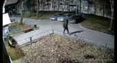 В Коврове на видео попал мужчина, который пытался напасть на женщину