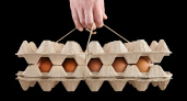 ФАС назвал торговые сети, согласившиеся снизить наценку на яйца