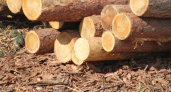 Крупное предприятие по лесопереработке оштрафовали за беспорядок на складе в Судогодском районе