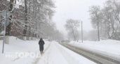 Срочное предупреждение от МЧС: Владимирскую область завалит снегом 