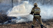 Названа дата начала пожароопасного сезона во Владимирской области
