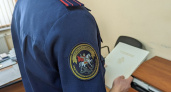 Глава СК РФ Бастрыкин поручил провести проверку о нарушении жилищных прав семьи из Курлово