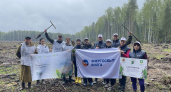 Волонтеры Сбера приняли участие в посадке леса во Владимирской области