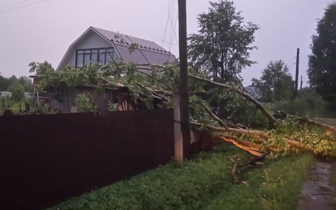 В Гусь-Хрустальном районе прошел сильный ураган
