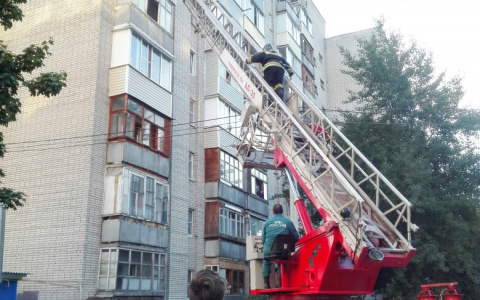 Владимирские спасатели не дали котенку выпасть с балкона  шестого этажа
