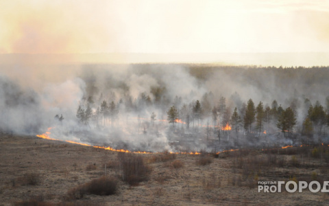 Во Владимирской области горит 150 гектаров леса