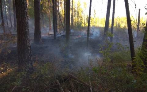 Во Владимирской области продолжают гореть леса