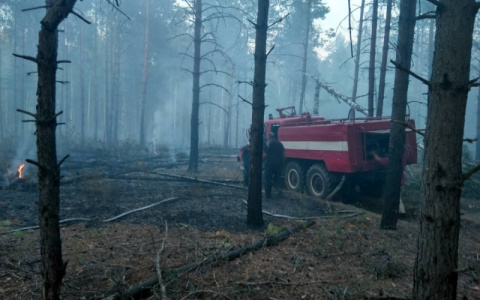 Во Владимирской области массово горят леса