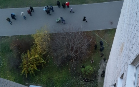 Владимирец разбился насмерть, упав с балкона 14 этажа