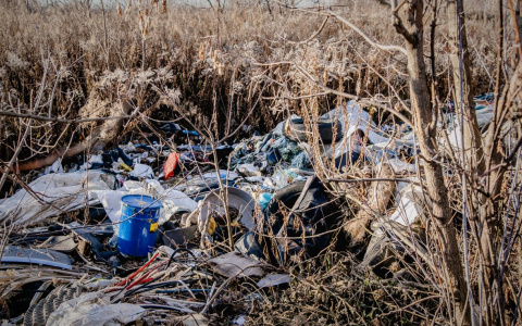 Владимирская область стала худшей в рейтинге по ликвидации мусорных свалок