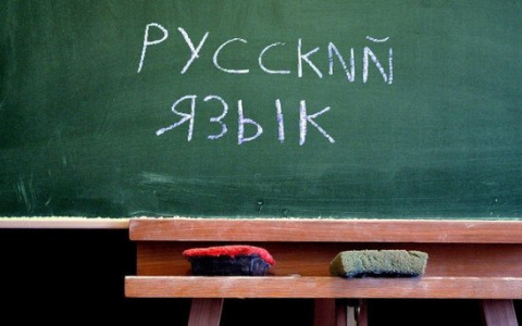Тест дня: проверьте, насколько хорошо вы знаете русский язык