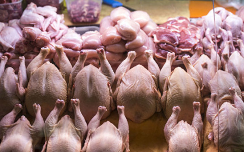 Куриное мясо во Владимирской области резко подорожало: насколько и почему