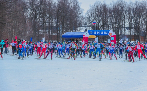Владимирцев зовут принять участие в массовой лыжной гонке: куда и когда