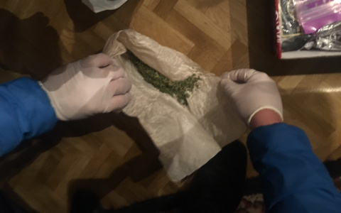 Житель Владимирской области вырастил почти 4 килограмма марихуаны