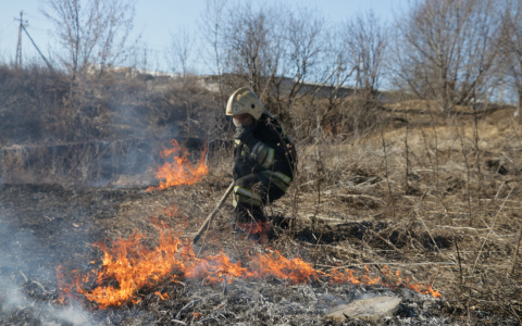 Первый поджог сухой травы во Владимире пришелся на улицу Куйбышева