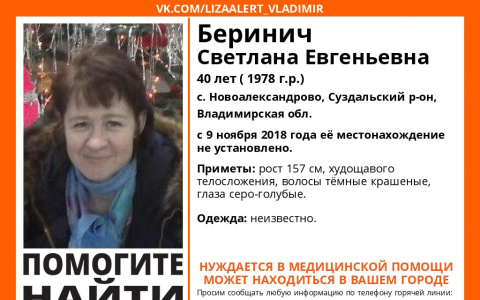 Во Владимире разыскивают 40-летнюю женщину