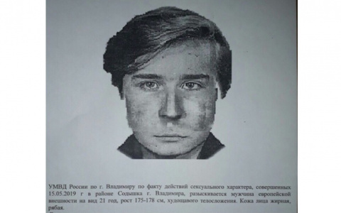 Во Владимире задержали мужчину, пытавшегося изнасиловать двоих девушек