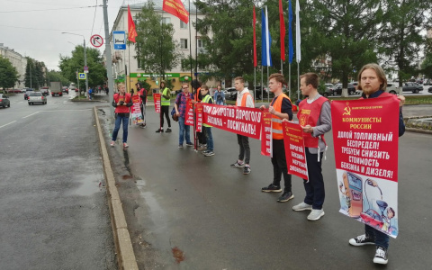 Владимирцы сигналили коммунистам, выступающим против роста цен на бензин