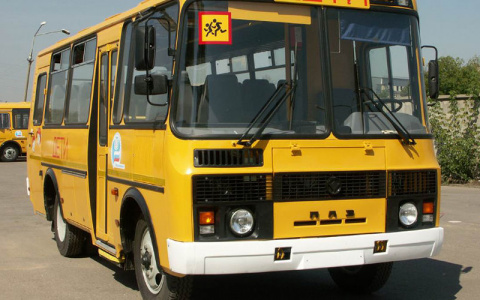 Собинских водителей школьных автобусов осматривали без лицензии