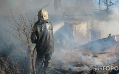 Во Владимирской области пожарные дважды выезжали из-за еды на плите