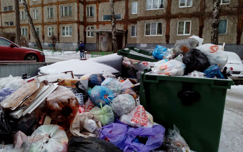 В Белом доме заявили, что мусорного коллапса  во Владимире не было