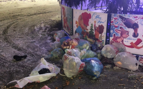 Владимирец оставил мешки с мусором под ёлкой у Белого дома